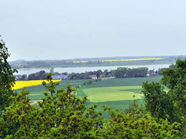 Vieregge Panorama